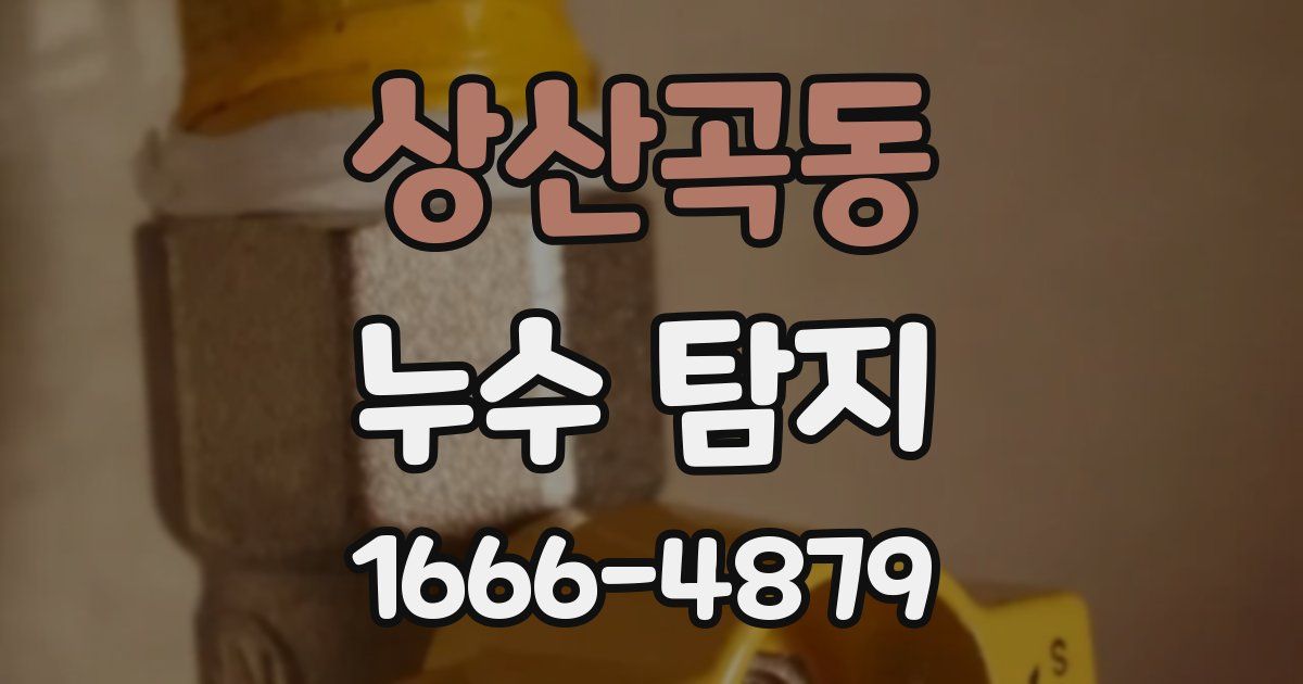 상산곡동 누수 탐지