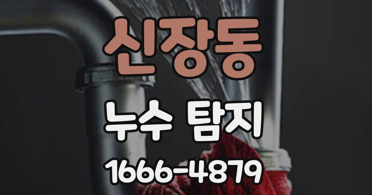 신장동 누수 탐지