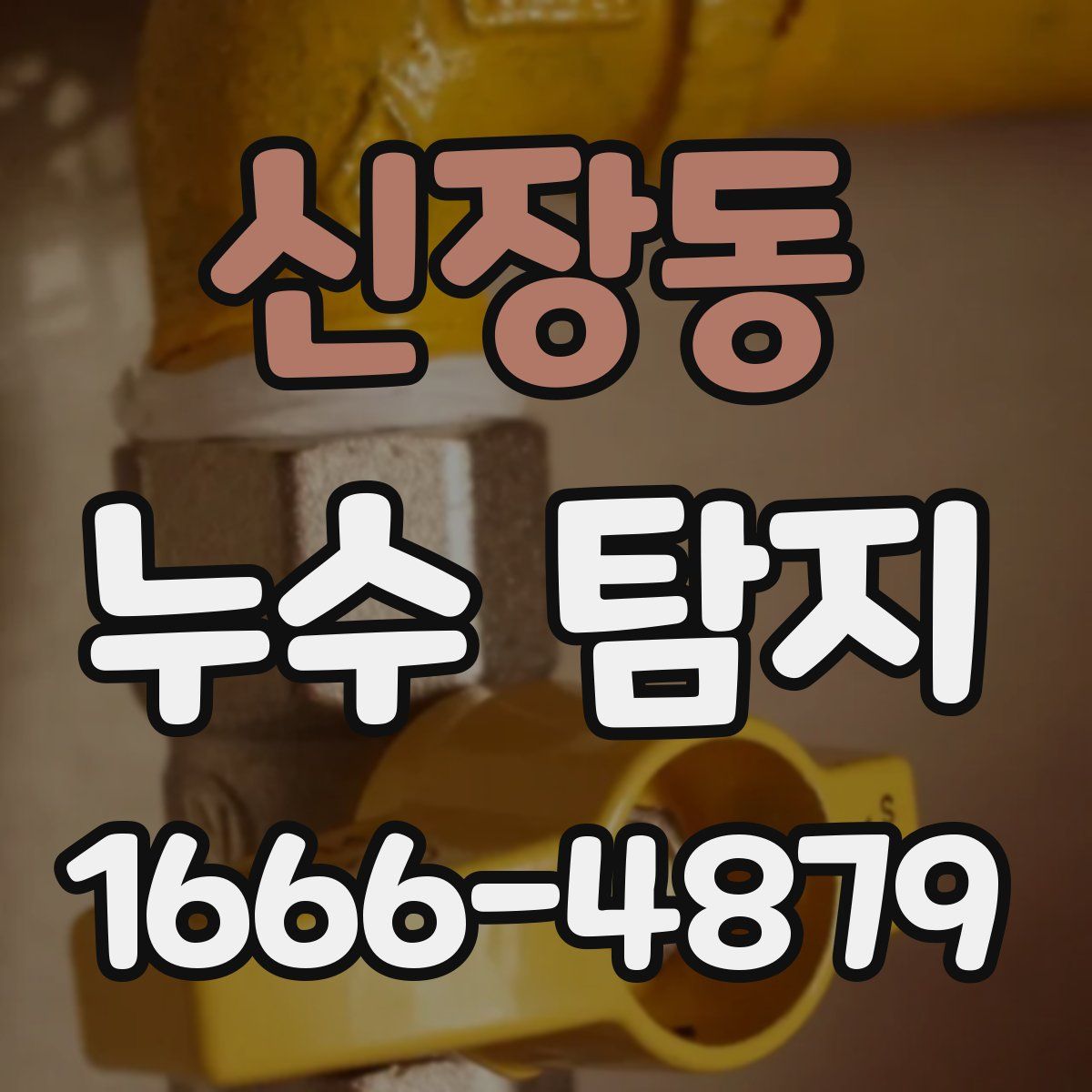 신장동 누수 탐지
