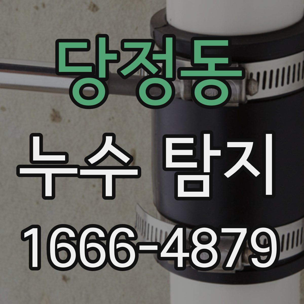 당정동 누수 탐지