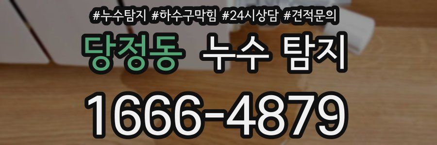 당정동 누수 탐지