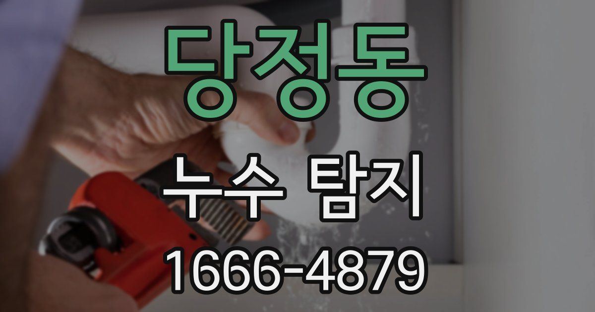 당정동 누수 탐지