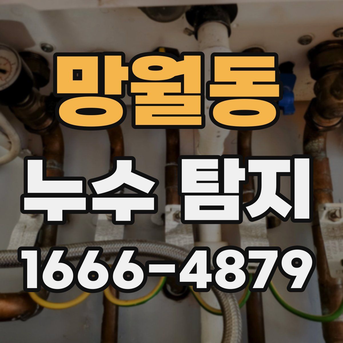 망월동 누수 탐지