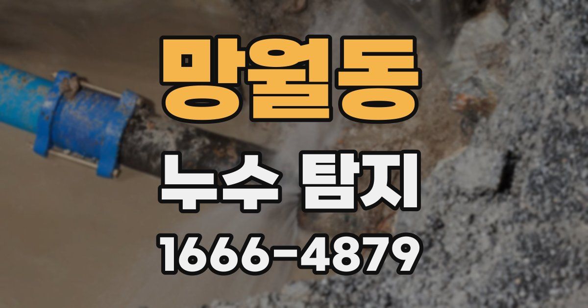 망월동 누수 탐지