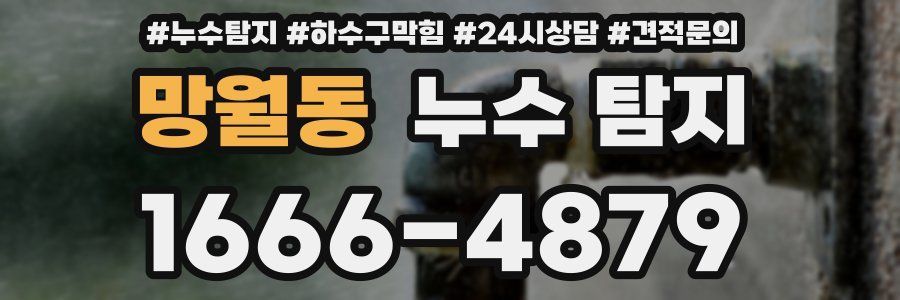 망월동 누수 탐지