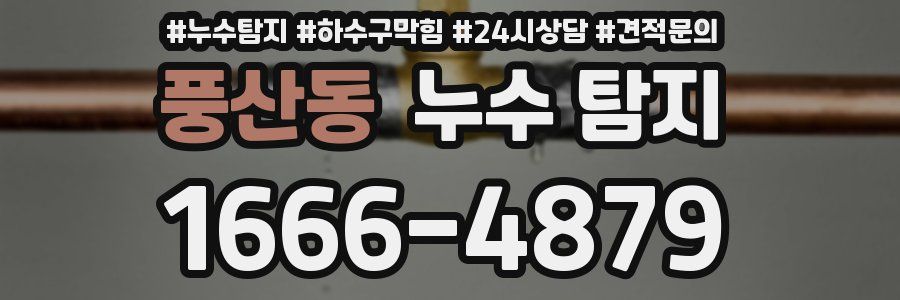 풍산동 누수 탐지