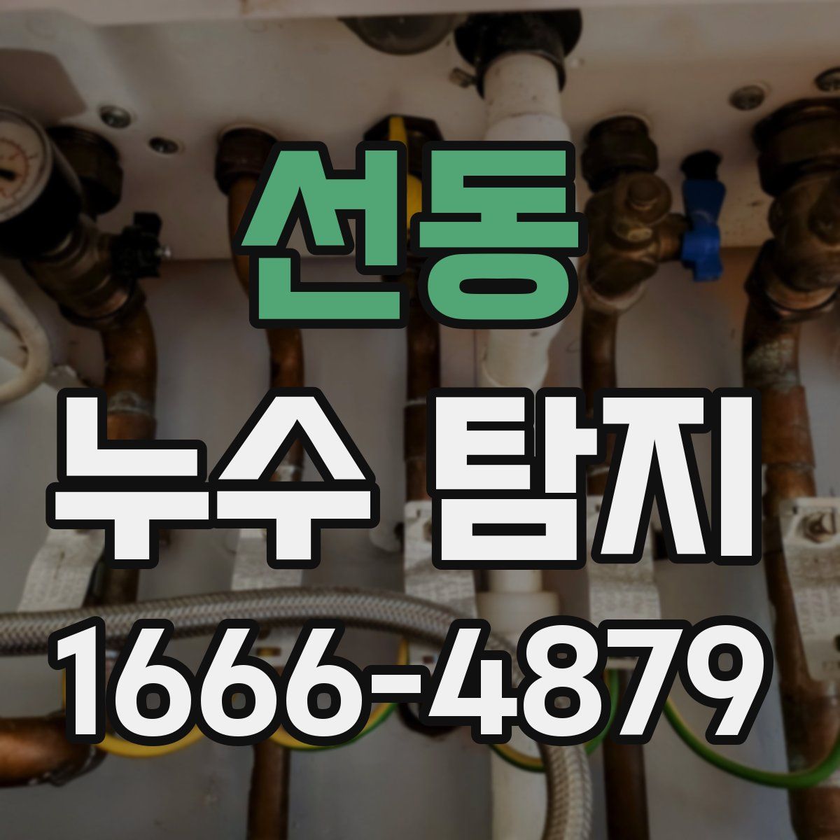 선동 누수 탐지