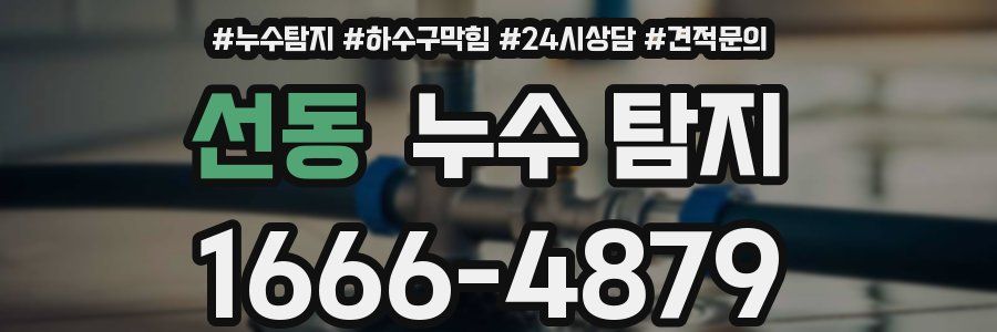선동 누수 탐지