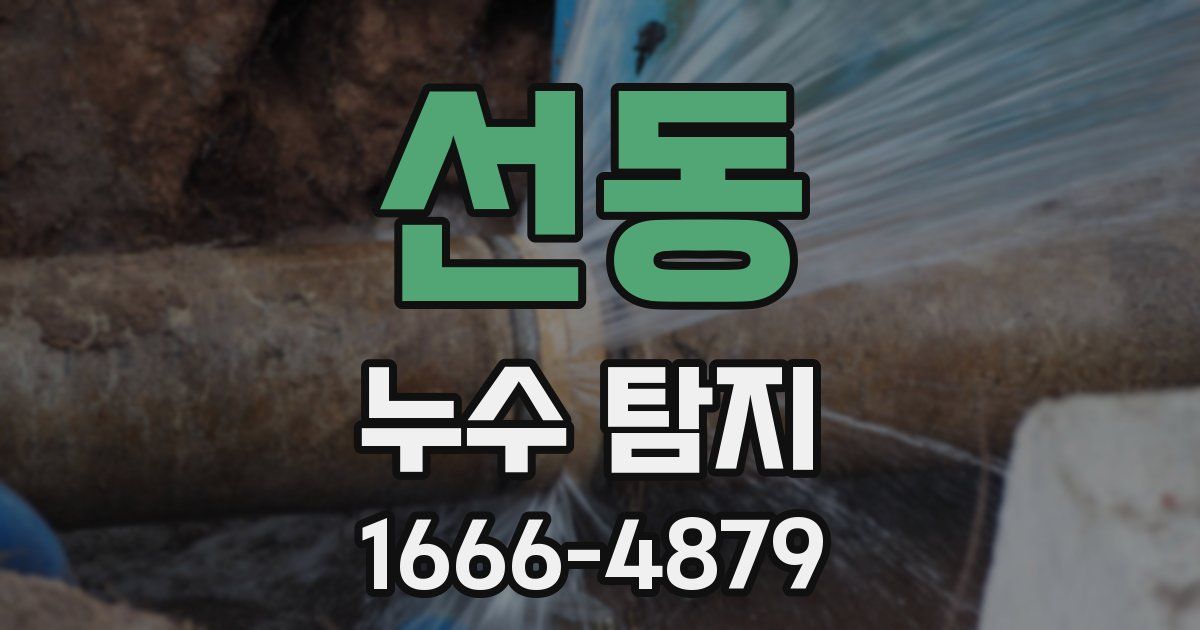 선동 누수 탐지