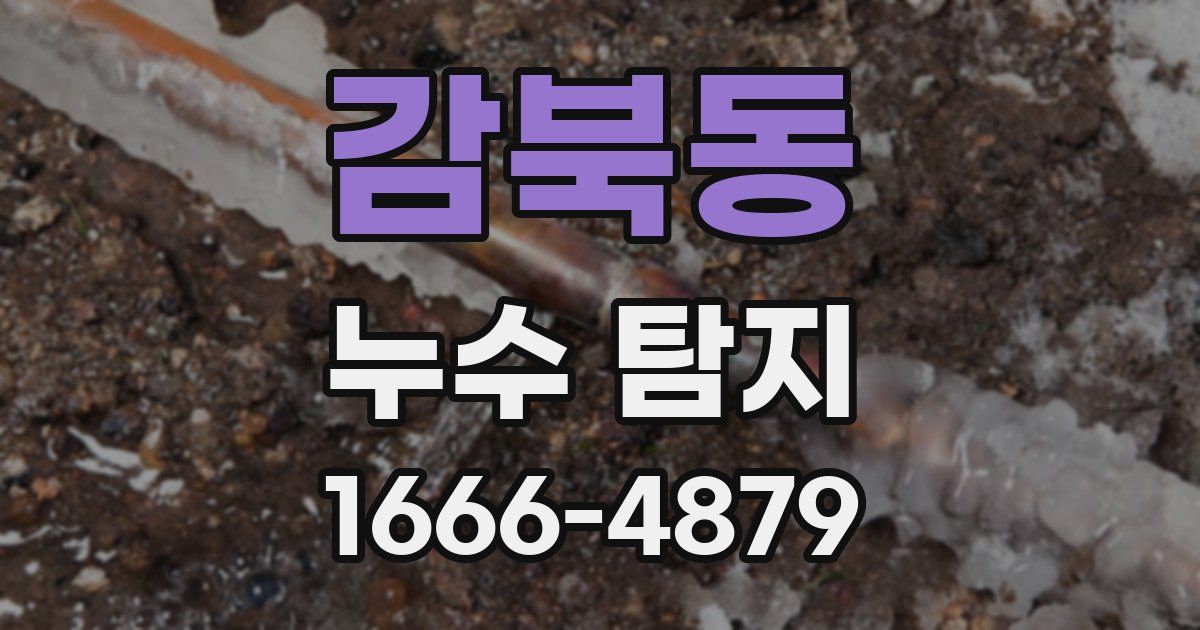 감북동 누수 탐지