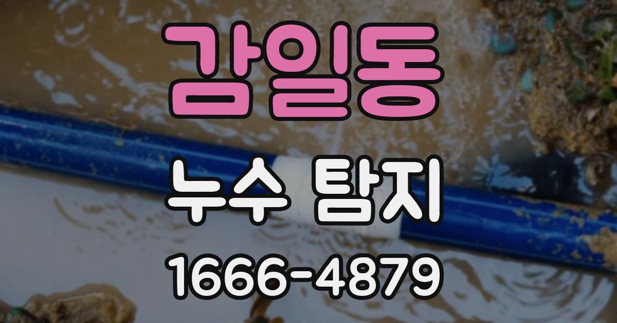 감일동 누수 탐지