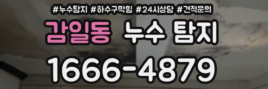 감일동 누수 탐지