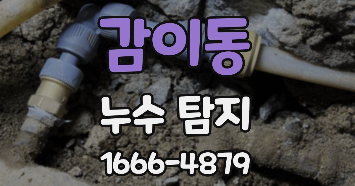 감이동 누수 탐지