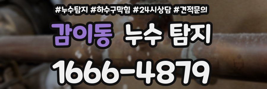 감이동 누수 탐지