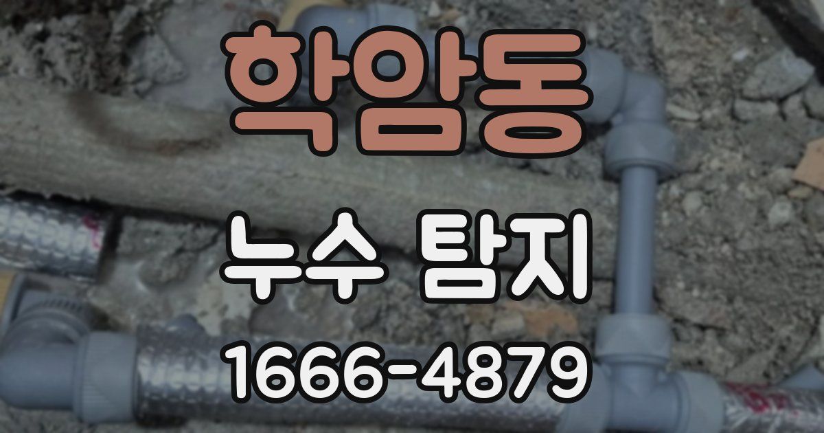 학암동 누수 탐지