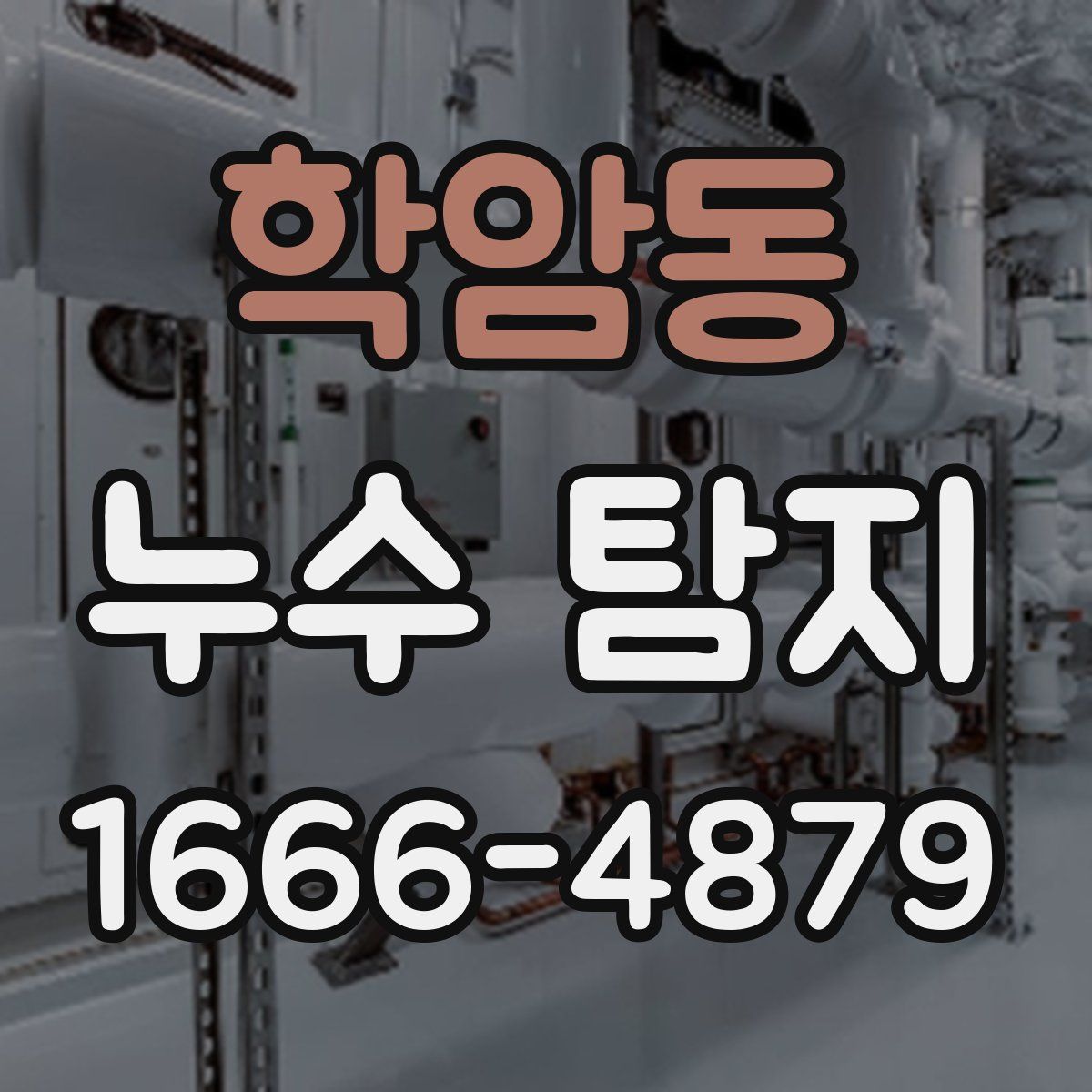 학암동 누수 탐지