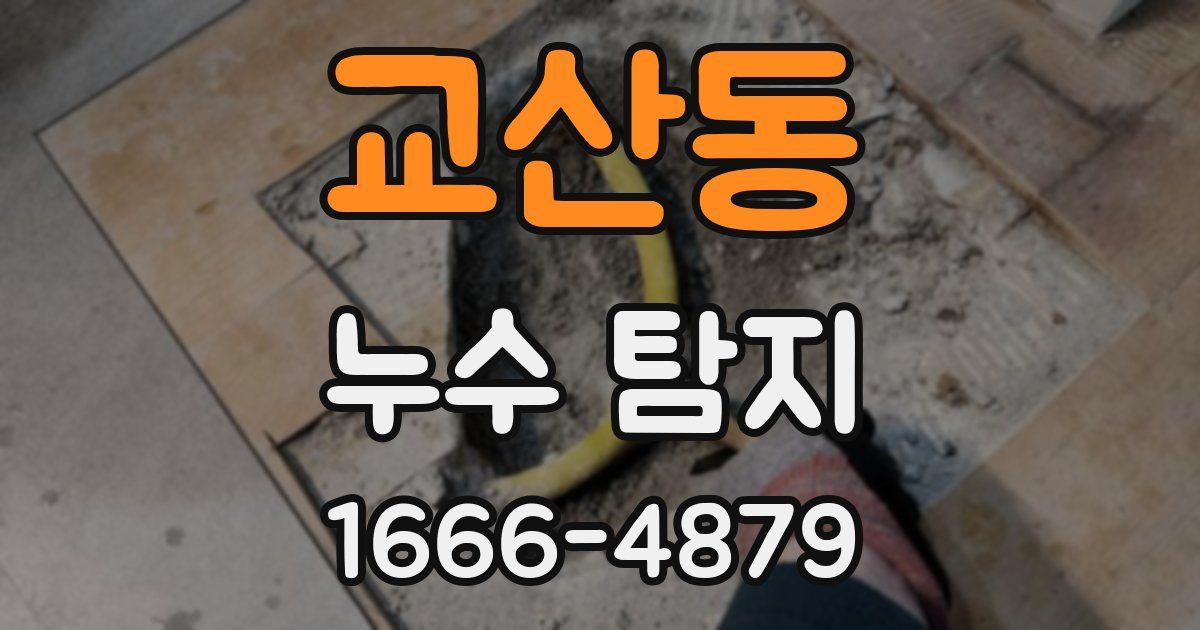 교산동 누수 탐지