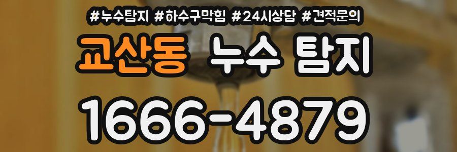 교산동 누수 탐지