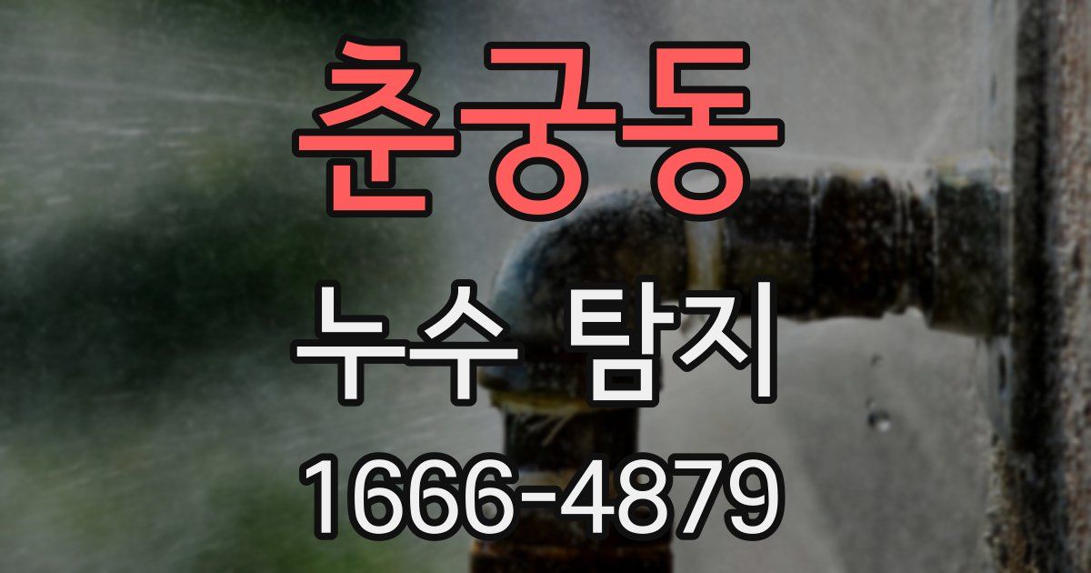 춘궁동 누수 탐지