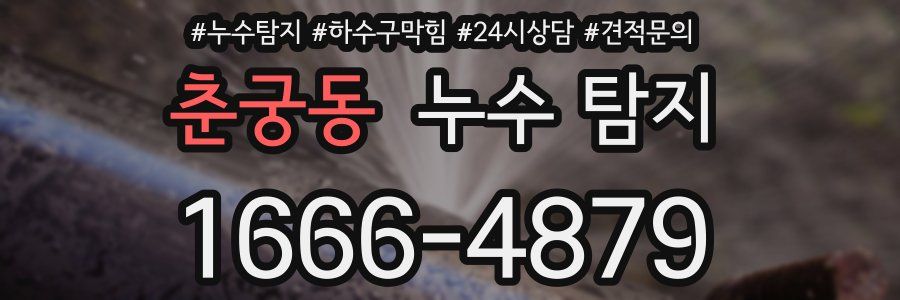 춘궁동 누수 탐지