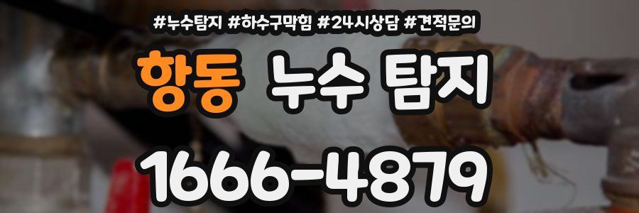 항동 누수 탐지