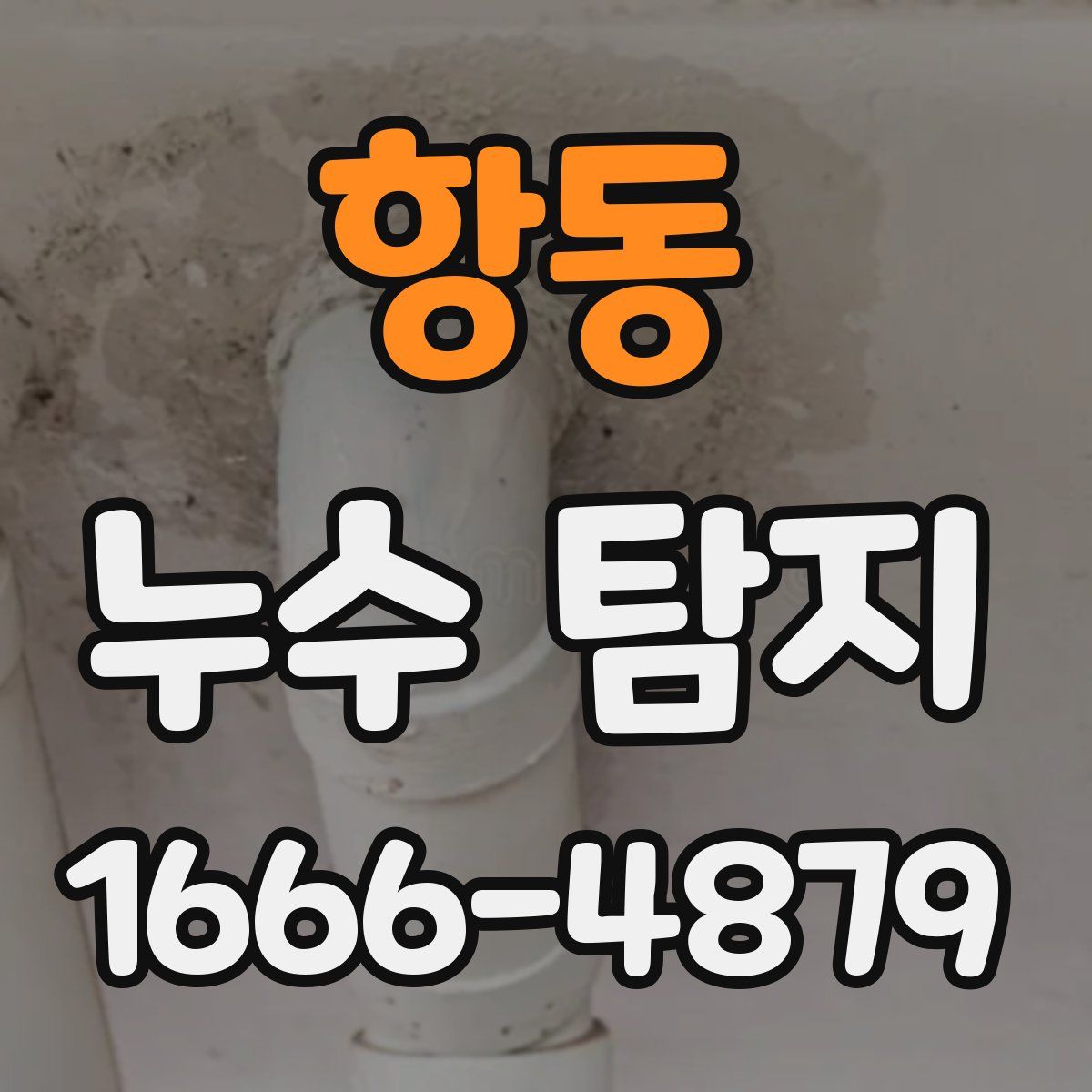 항동 누수 탐지