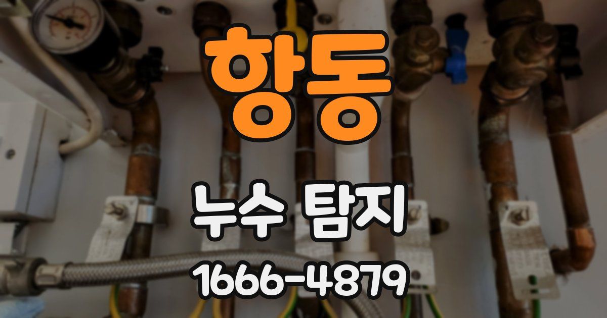 항동 누수 탐지