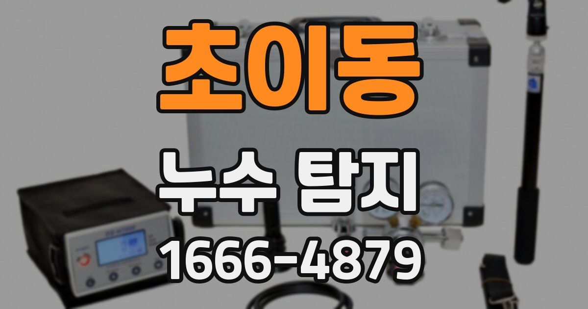 초이동 누수 탐지