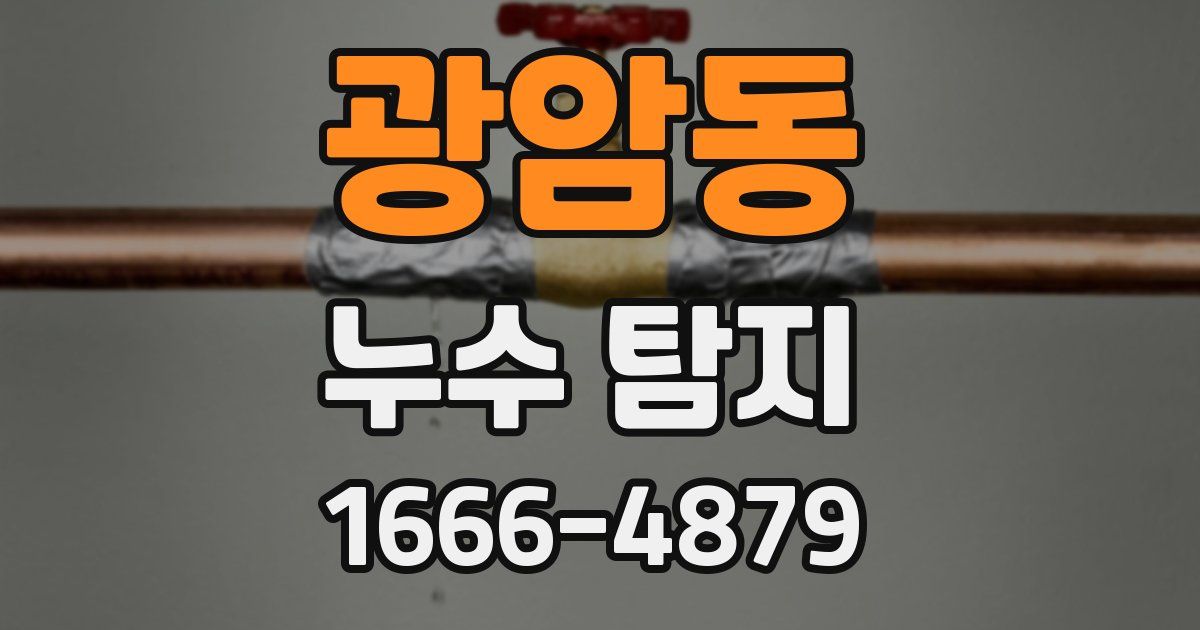 광암동 누수 탐지
