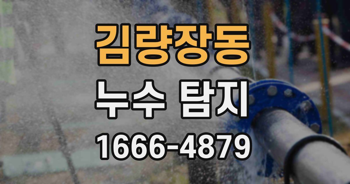 김량장동 누수 탐지