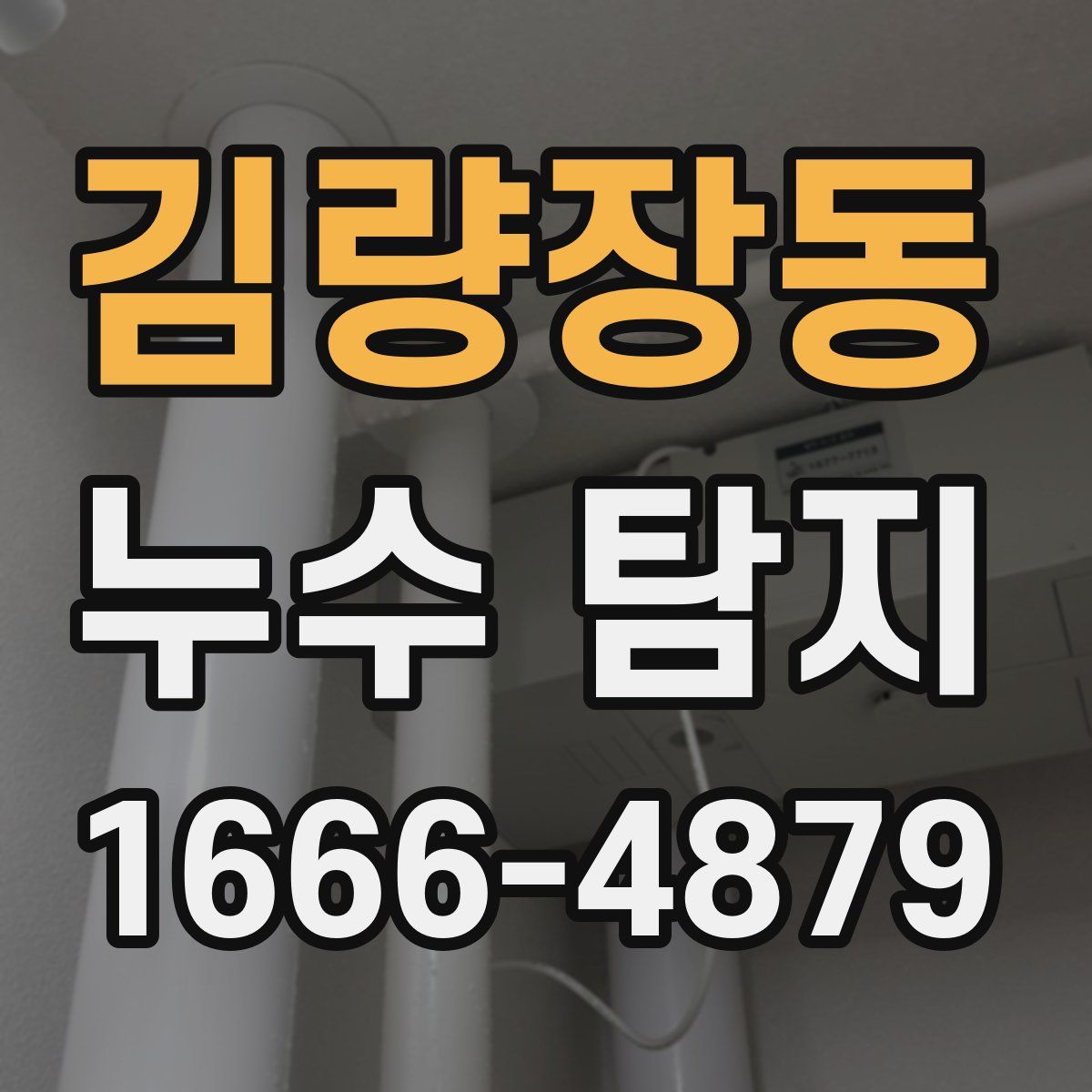 김량장동 누수 탐지