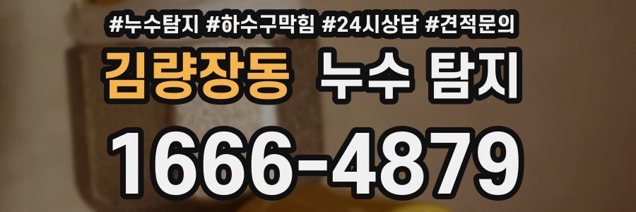김량장동 누수 탐지