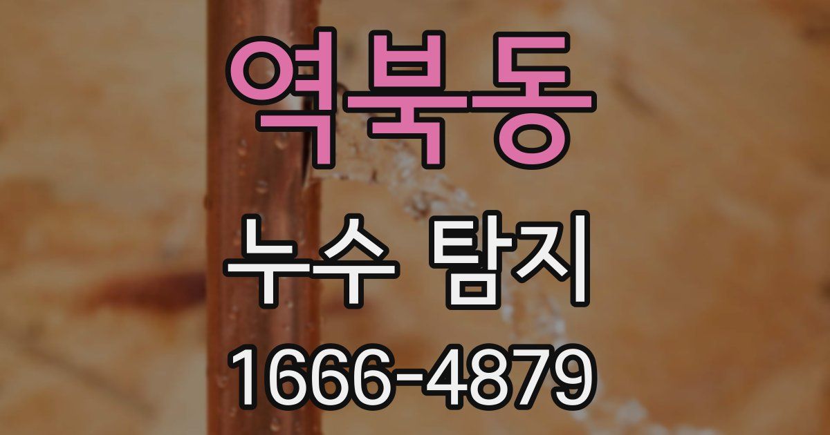 역북동 누수 탐지