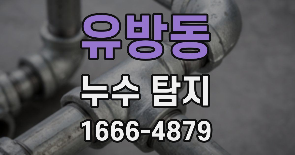 유방동 누수 탐지