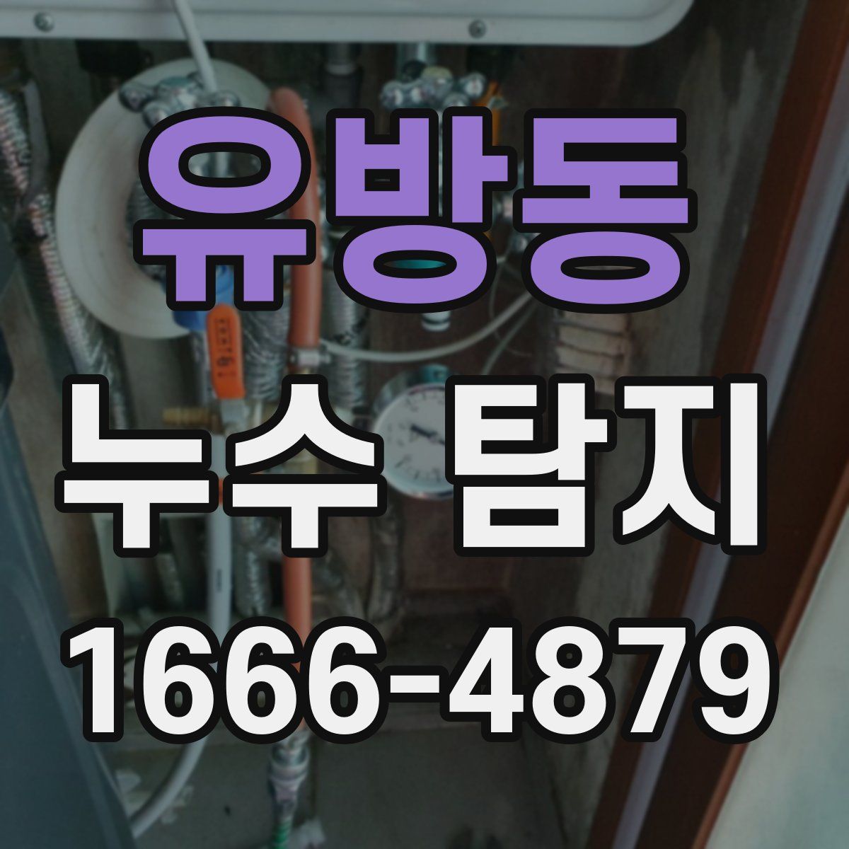 유방동 누수 탐지
