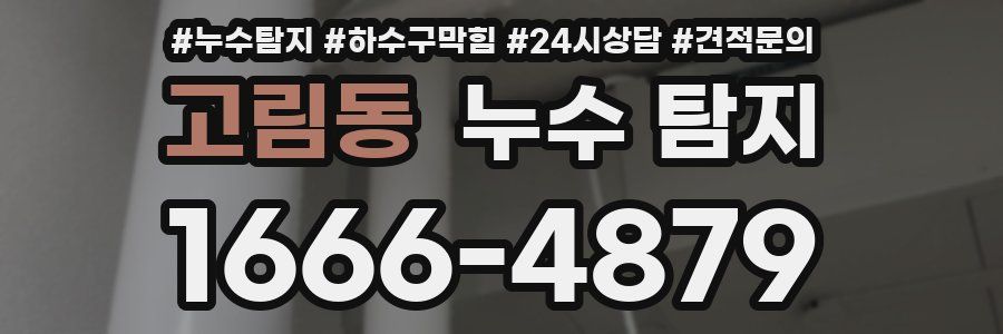 고림동 누수 탐지
