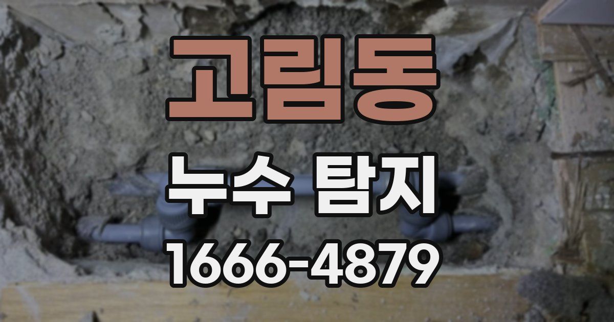 고림동 누수 탐지