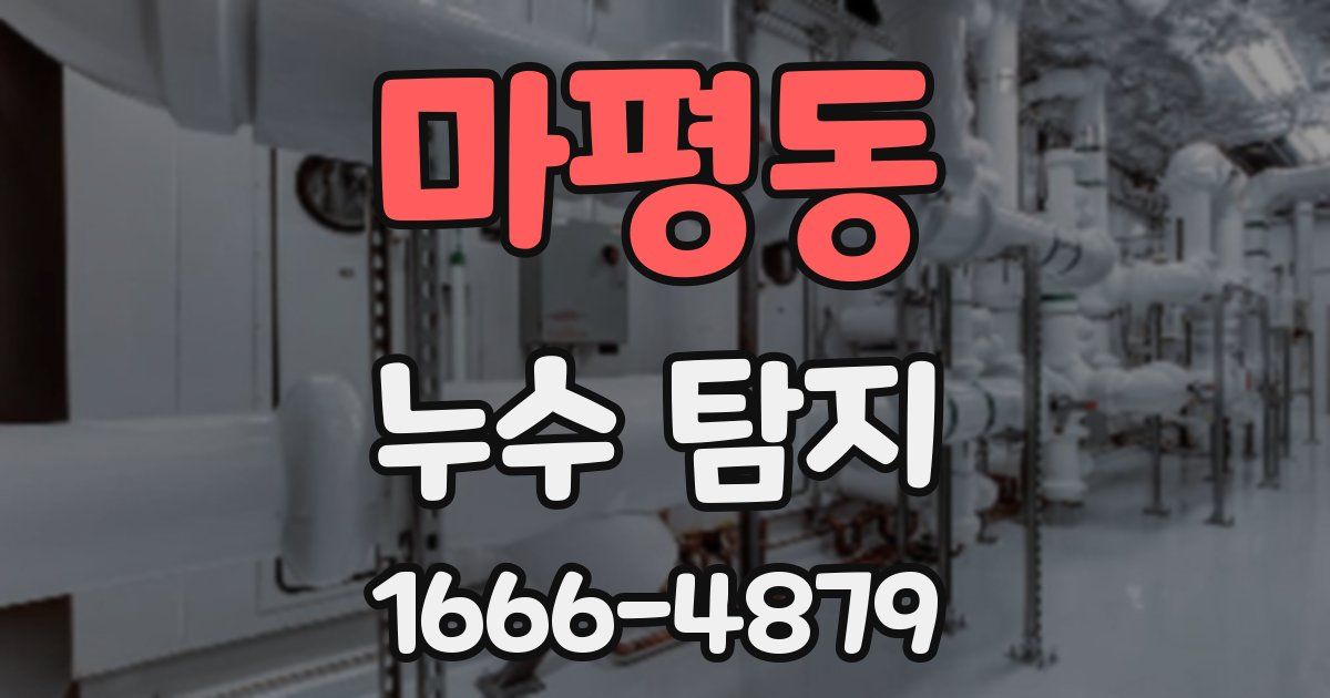 마평동 누수 탐지