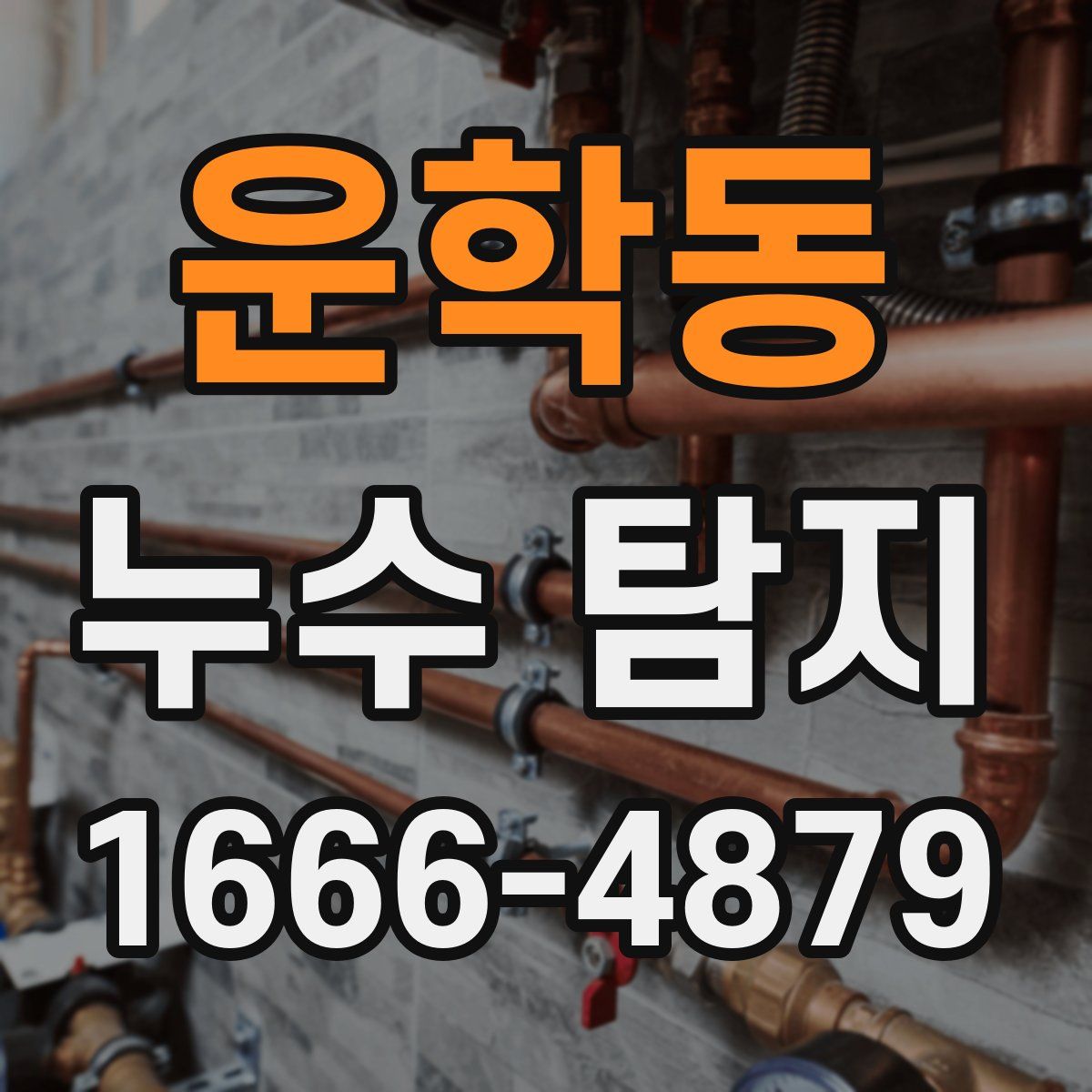 운학동 누수 탐지