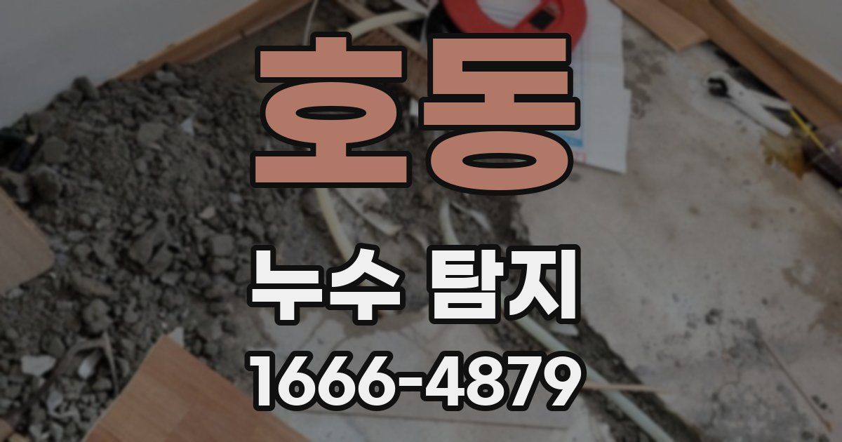 호동 누수 탐지