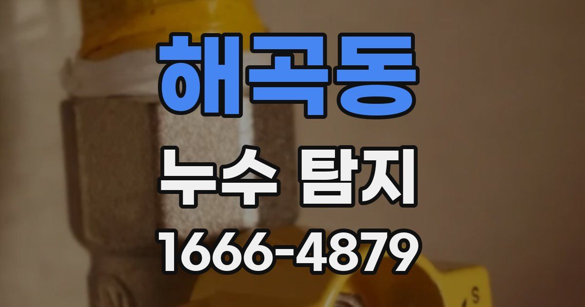 해곡동 누수 탐지