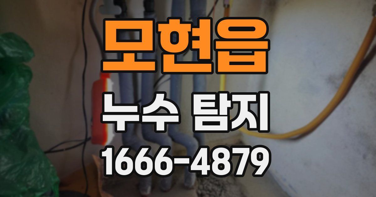 모현읍 누수 탐지