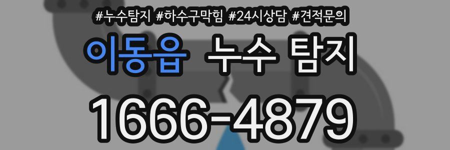 이동읍 누수 탐지