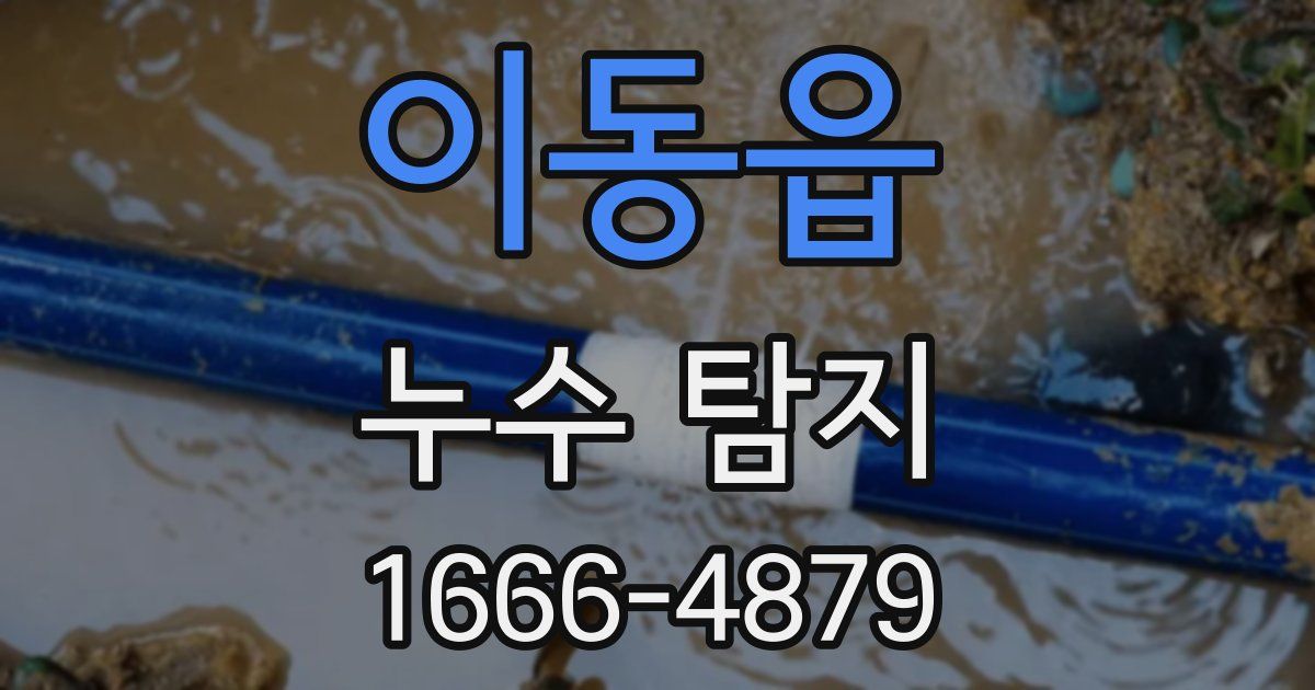 이동읍 누수 탐지
