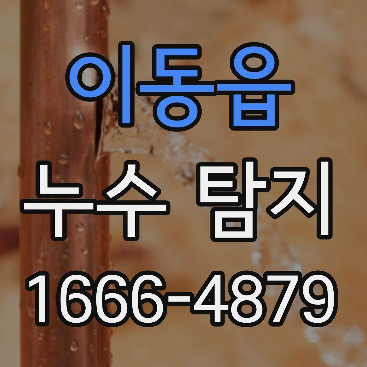 이동읍 누수 탐지