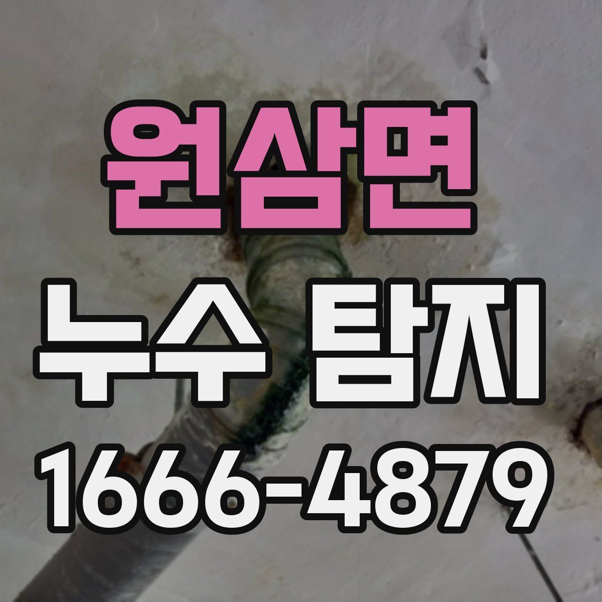 원삼면 누수 탐지
