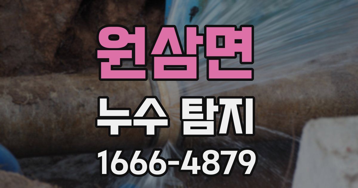 원삼면 누수 탐지