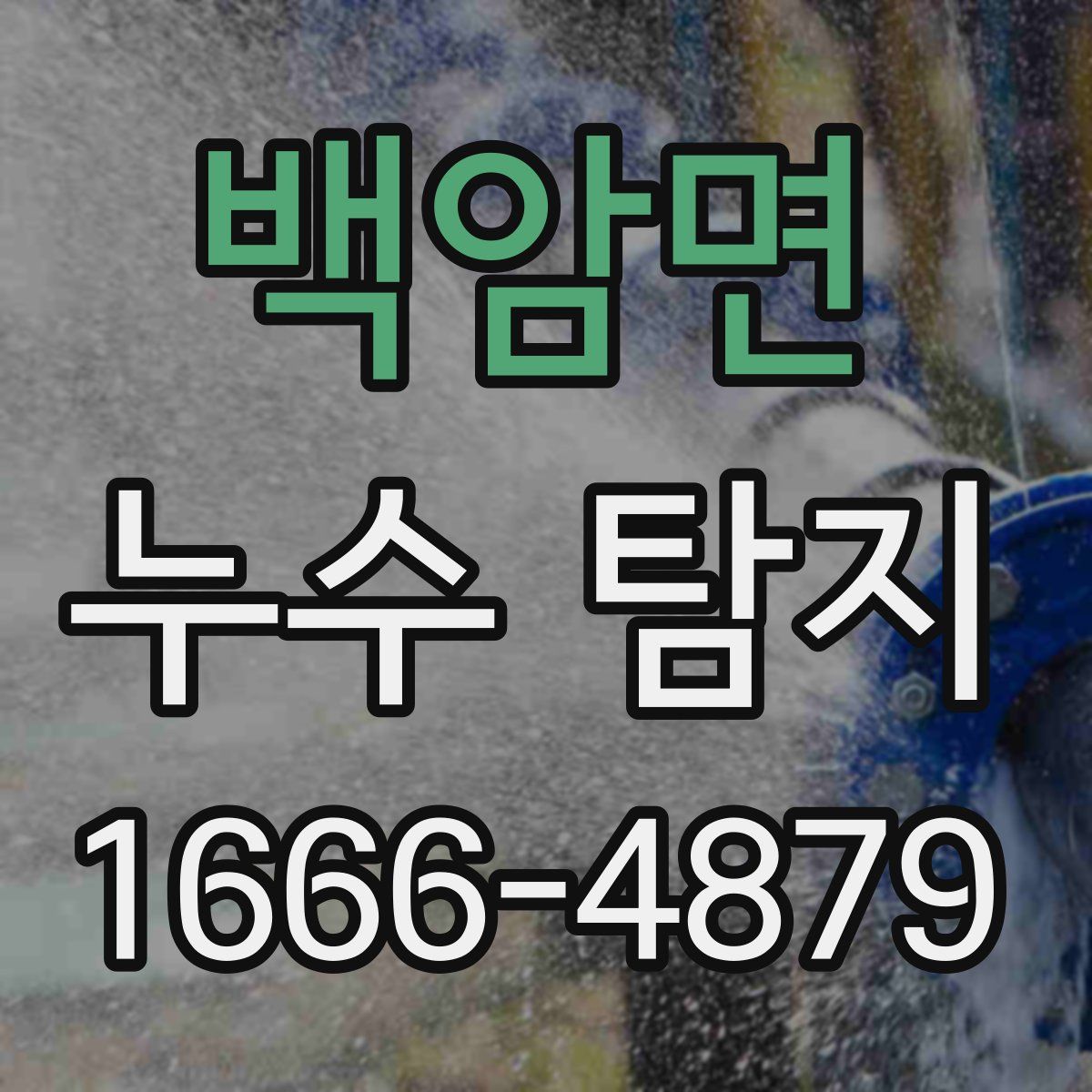백암면 누수 탐지