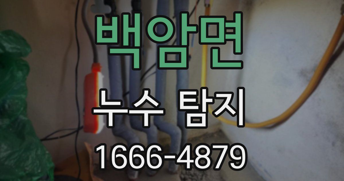 백암면 누수 탐지