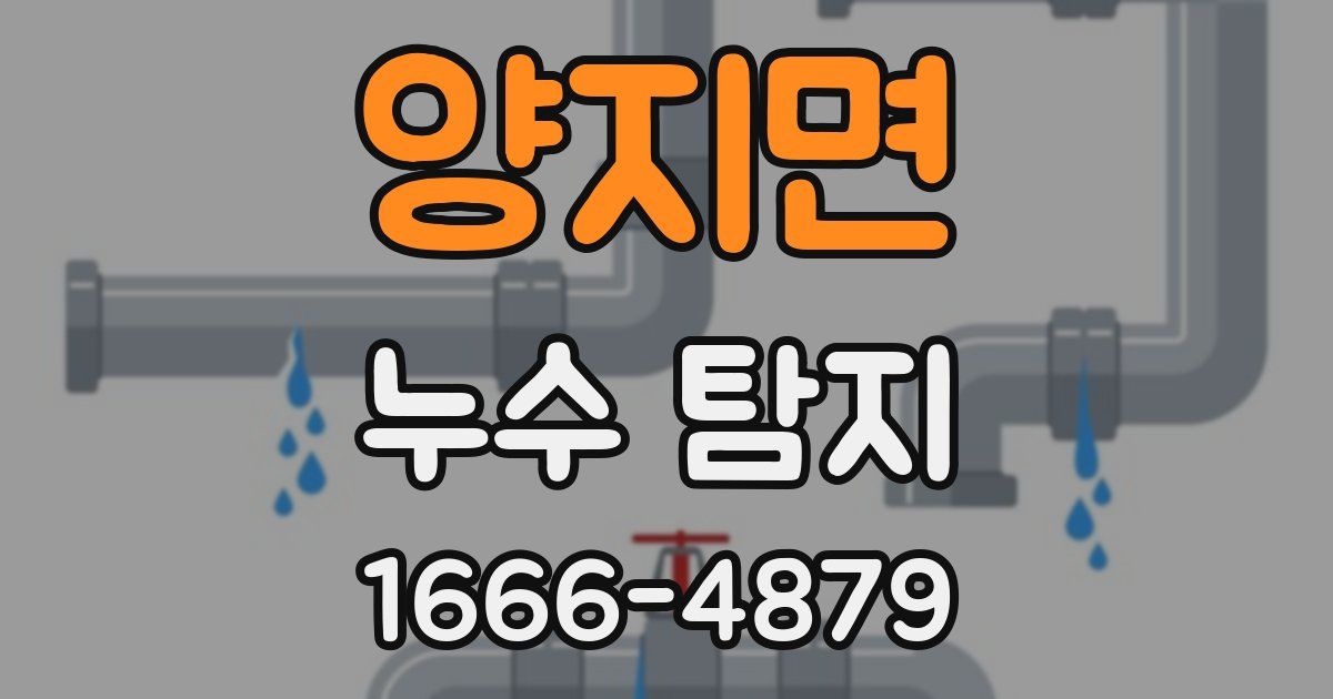 양지면 누수 탐지